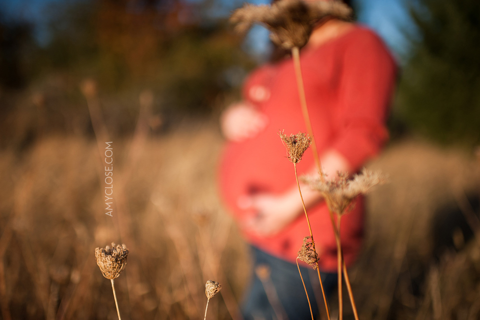 Portland Maternity Photography 15