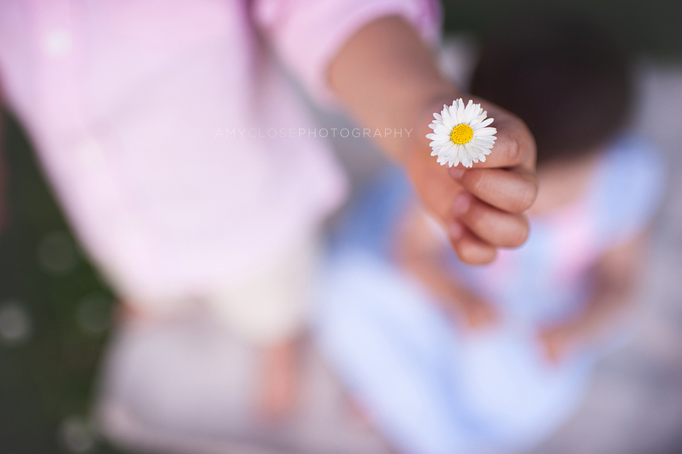 Portland Children + Family Photography 04