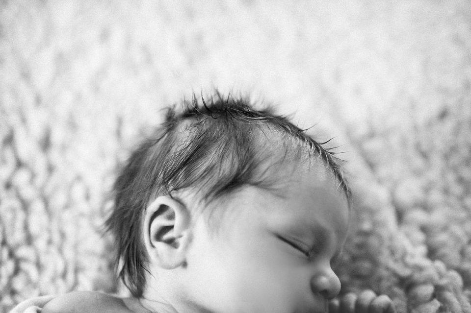 portland-newborn-baby-family-photography-08