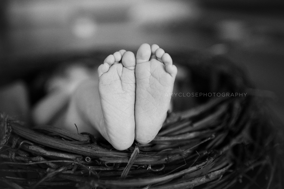 portland-newborn-baby-family-photography-10