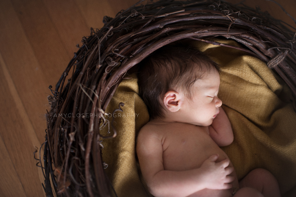 portland-newborn-baby-family-photography-13