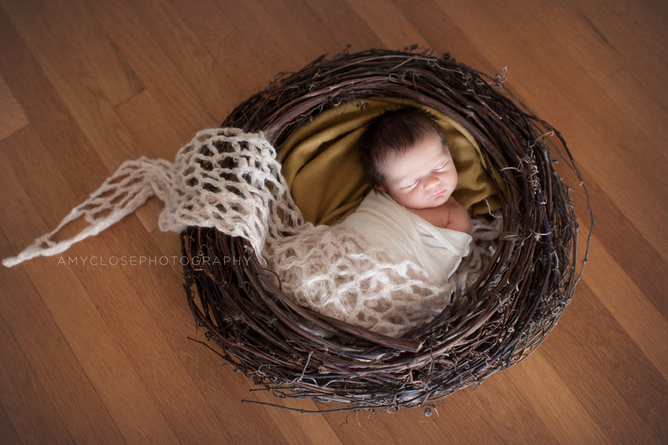 portland-newborn-baby-family-photography-14