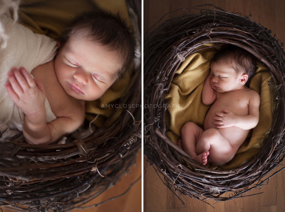 portland-newborn-baby-family-photography-16