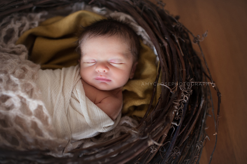 portland-newborn-baby-family-photography-17